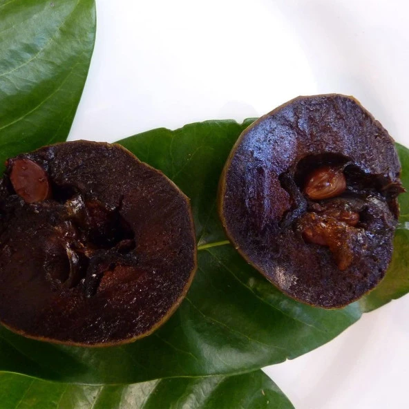 Black Sapote (Tüplü Çikolata Meyvesi) Fidanı