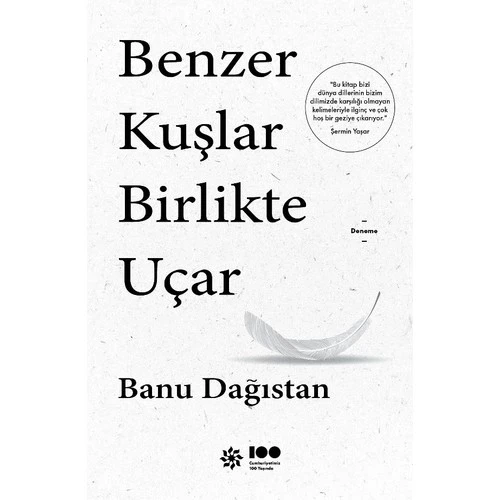 BENZER KUŞLAR BİRLİKTE UÇAR  BANU DAĞISTAN  DOĞAN YAYIN