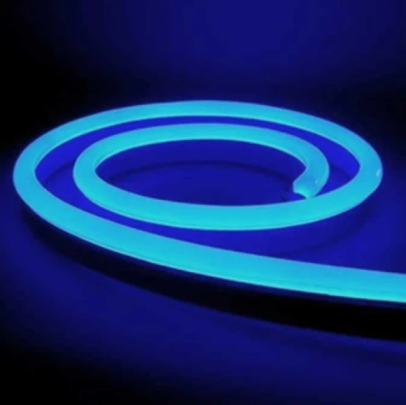 25 METRE CATA CT 4455 12V Neon Led Hortum Mavi