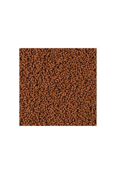 Tropical Shrimp Sticks 100ml 55gr - 2