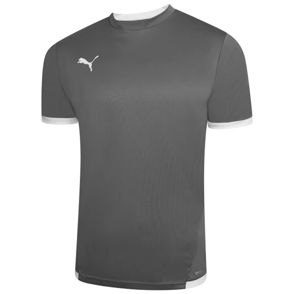 Puma 704917 Teamliga Jersey T-Shirt Dry-Cell Erkek Tişört - Resim 2