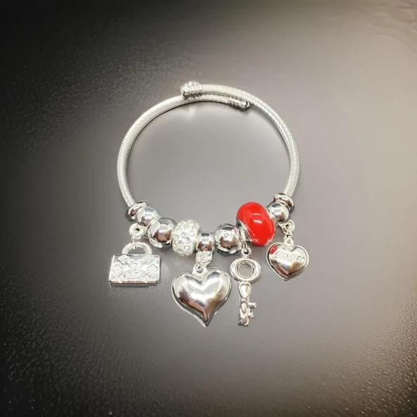 Parlak ve Zarif: Kalp ve Lüks Marka Charmlı Gümüş Renk 316L Antialerjik Çelik Kadın Bileklik ürün görseli 1