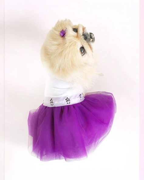 Eflatun Sevimli Fare Tütülü Köpek Elbisesi,  Kıyafeti Tutu - 4