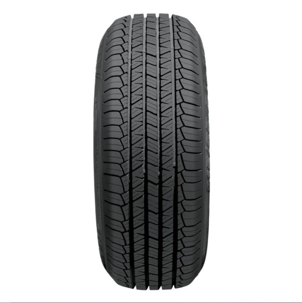 225/55R19 99V 701 RIKEN