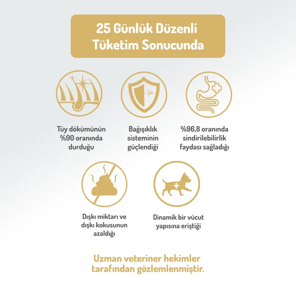 Felicia 6 Kg (2x3 Kg) Kolajenli Kuzulu Az Tahıllı Small/Mini Yetişkin Köpek Maması HypoAllergenic Köpek Maması - 8