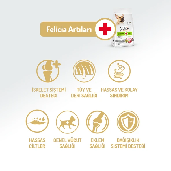 Felicia 6 Kg (2x3 Kg) Kolajenli Kuzulu Az Tahıllı Small/Mini Yetişkin Köpek Maması HypoAllergenic Köpek Maması - 5