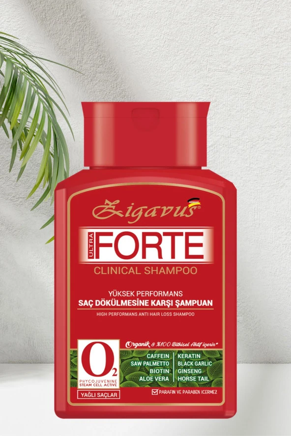 Zigavus Forte Ultra Clinical Yağlı Saçlar İçin Dökülme Karşıtı Şampuan 3X300 Ml - Resim 2