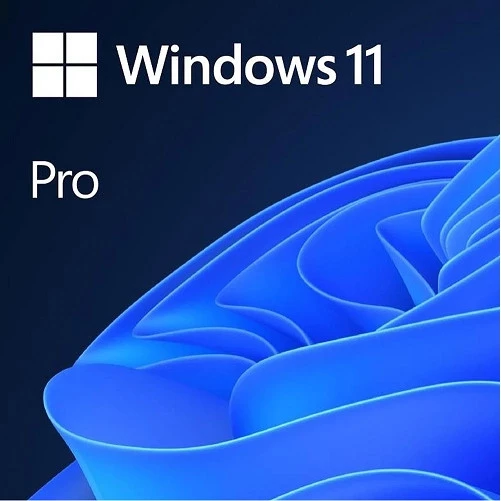 MICROSOFT Windows 11 Pro Trk Kutu 64 bit HAV-00159