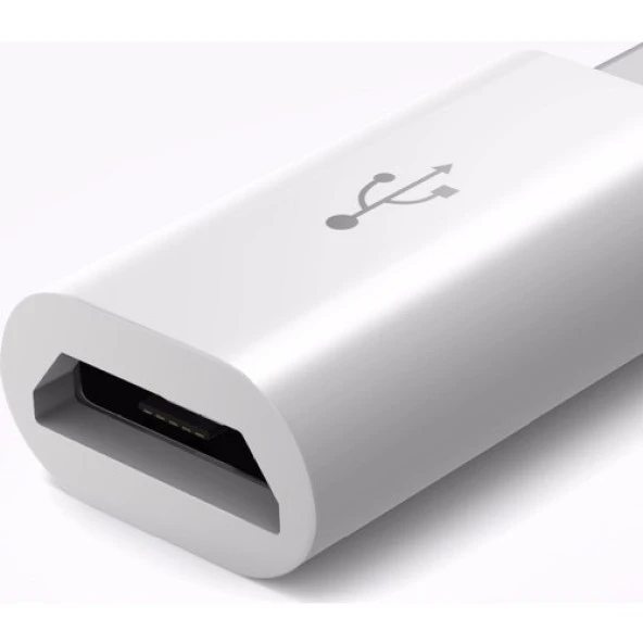 CODEGEN CDG-CNV34 TYPE-C- mUSB Görüntü Adaptörü Beyaz - Resim 3