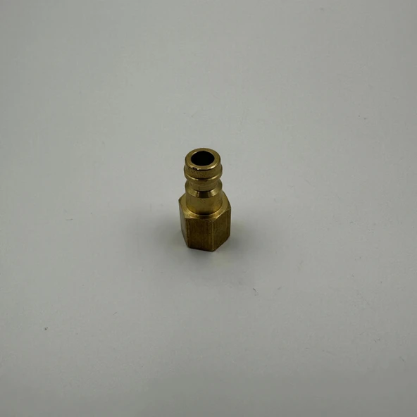 Pnömatik Sarı Stoper Otomatik Rekor Dişi Uç T21 - M10x1 - 7