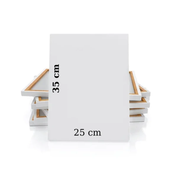 10 renk akrilik boya seti 25x35 tuval ipek fırça seti 10x20 ml - 2
