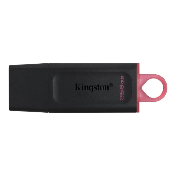 KINGSTN 256GB DataTraveler E xodia DTX/256GB USB 3.2 BELLEK