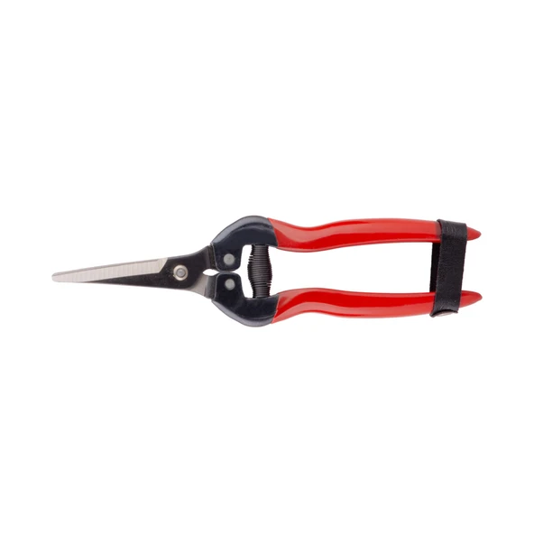 Palmera Sp19 Meyve Budama Makası ürün görseli