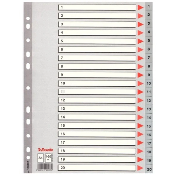 ESSELTE SEPARATÖR A4 1-20 RAKAM SLT-100107 1 Adet