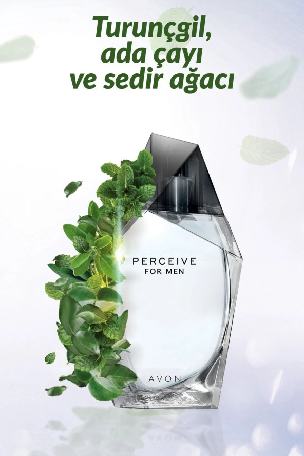 Perceive Erkek Parfüm Edt 100 Ml. ürün görseli 1
