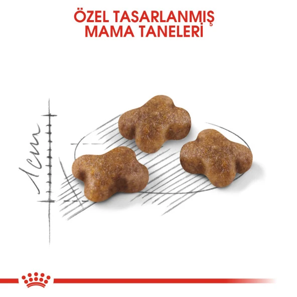Royal Canin Kitten Kedi Kuru Maması 4 kg - 2