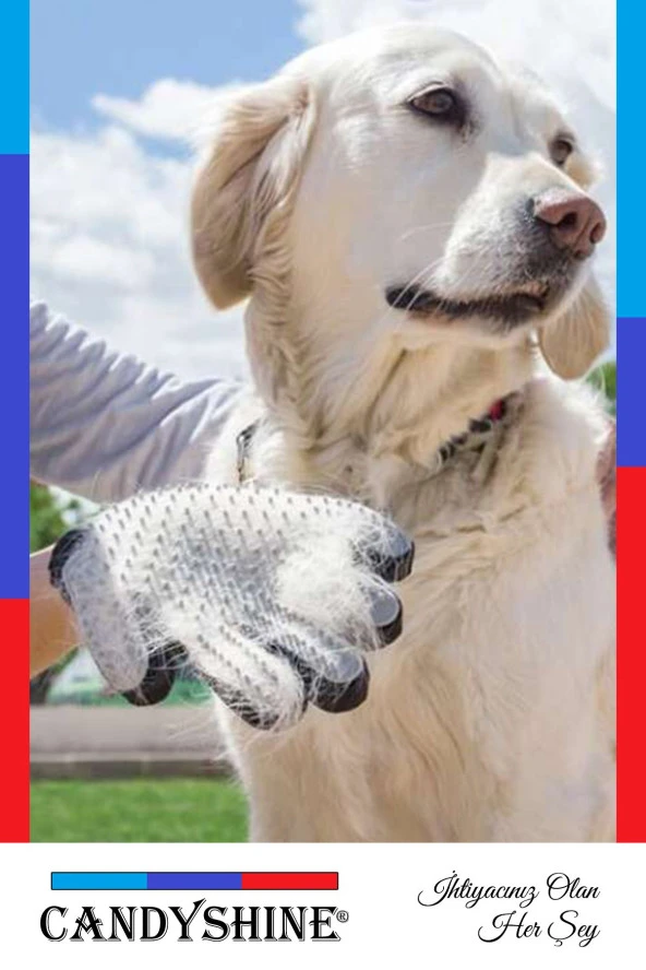 Deluxe Mucize Koltuk Kıyafet Halı Tüy Toplayıcı Kedi Fırça Seti Kedi Tüy Toplayıcı Eldiven Tarak ürün görseli 1