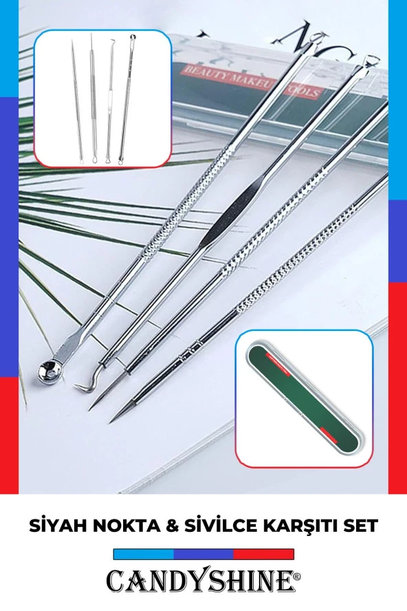 Siyah Nokta Sivilce Akne Temizleme Aleti Komedon 4 Parça Paslanmaz Çelik Hijyenik Saklama Kutulu - 3