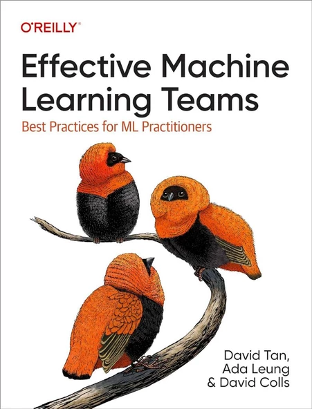 Effective Machine Learning Teams: Best Practices for ML Practitioners Tan Leung