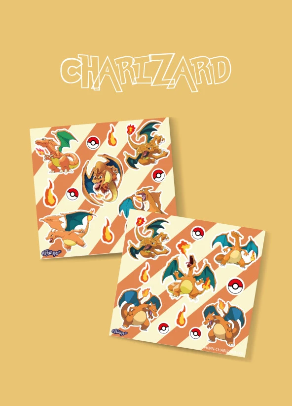 Charizard Pokemon sticker  2li set -mat kağıt-