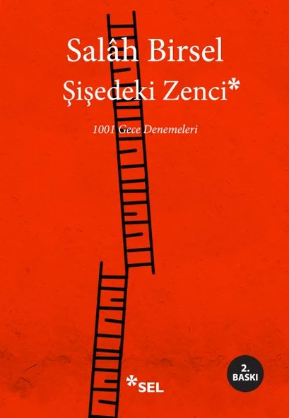 Şişedeki Zenci - 1