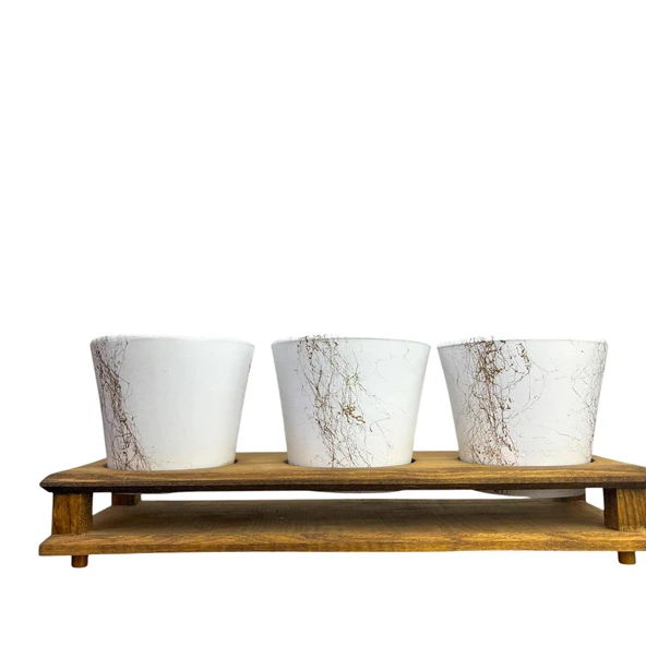 Bitki Tasarımı Ev dekorasyon Aksesuar Beyaz Gold Mermer Efektli Toprak Saksı Üçlü Ahşap Tabanlı Çiçeklik Saksı Saksılık ürün görseli