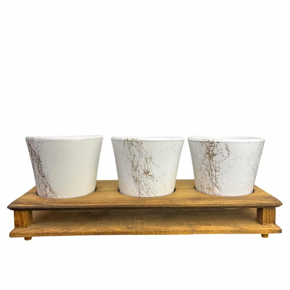 Bitki Tasarımı Ev dekorasyon Aksesuar Beyaz Gold Mermer Efektli Toprak Saksı Üçlü Ahşap Tabanlı Çiçeklik Saksı Saksılık - Resim 2