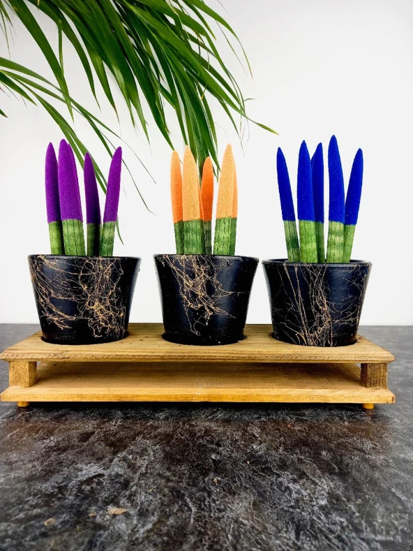 Bitki Tasarımı Ev dekorasyon Aksesuar Siyah Gold Mermer Efektli Toprak Saksı Üçlü Ahşap Tabanlı Çiçeklik Saksı Saksılık ürün görseli