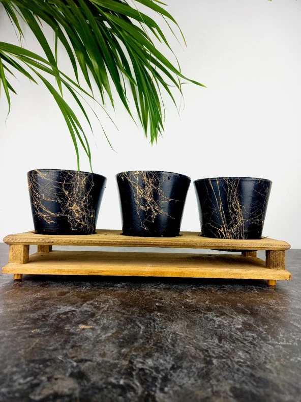 Bitki Tasarımı Ev dekorasyon Aksesuar Siyah Gold Mermer Efektli Toprak Saksı Üçlü Ahşap Tabanlı Çiçeklik Saksı Saksılık - Resim 4