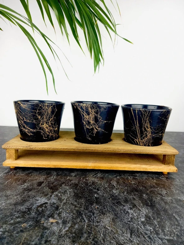 Bitki Tasarımı Ev dekorasyon Aksesuar Siyah Gold Mermer Efektli Toprak Saksı Üçlü Ahşap Tabanlı Çiçeklik Saksı Saksılık - Resim 6