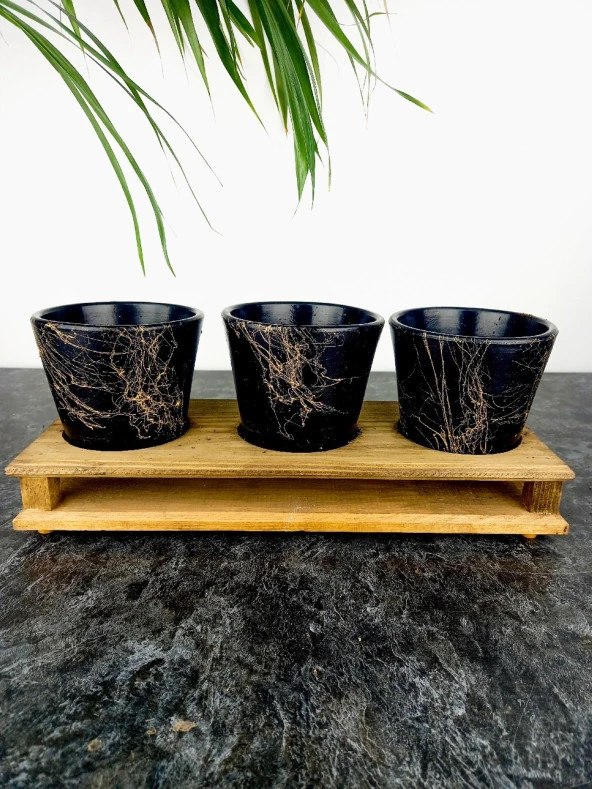 Bitki Tasarımı Ev dekorasyon Aksesuar Siyah Gold Mermer Efektli Toprak Saksı Üçlü Ahşap Tabanlı Çiçeklik Saksı Saksılık - Resim 7