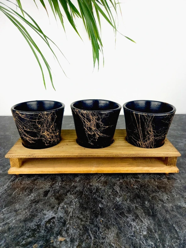 Bitki Tasarımı Ev dekorasyon Aksesuar Siyah Gold Mermer Efektli Toprak Saksı Üçlü Ahşap Tabanlı Çiçeklik Saksı Saksılık - Resim 8