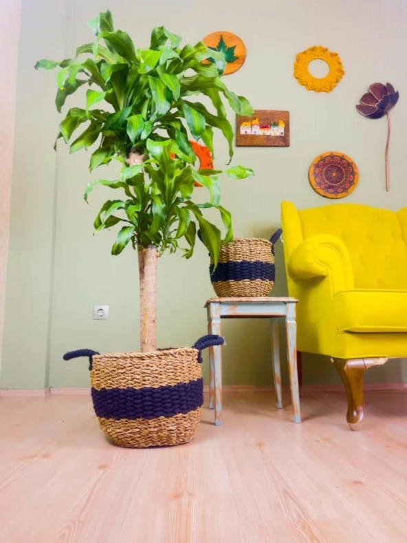 Bitki Tasarımı Düzenleyici Kulplu Siyah Şeritli Doğal Örgü Sepet İkili Set Büyük-Orta - 5