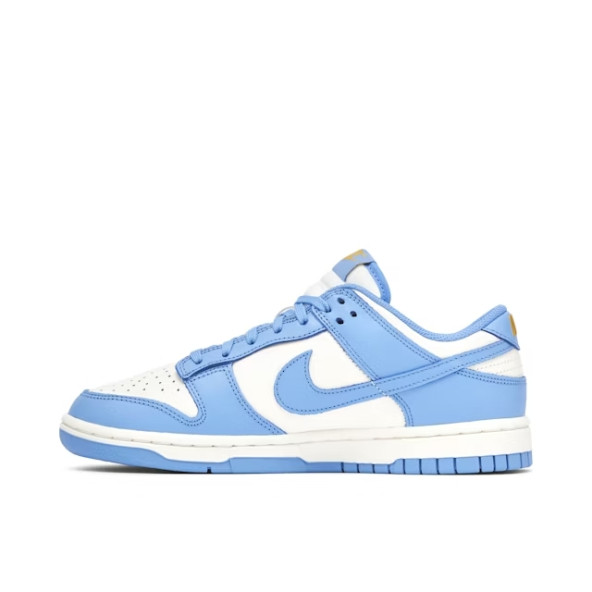 Nike Dunk Low Coast Blue DD1503-100