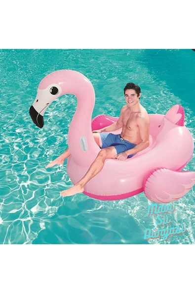 Flamingo Binici 191 Cm x 178 Cm - 2