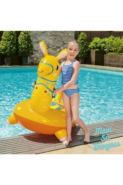 Lama Tutunmalı Binici 129 x 110 Cm - 2