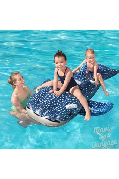 Balina Mavi Binici 193 Cm x 122 Cm - 2