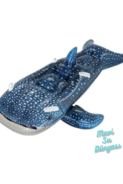 Balina Mavi Binici 193 Cm x 122 Cm - 4