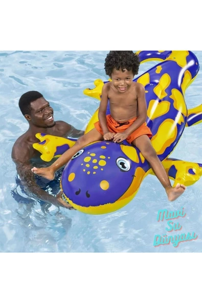 Kertenkele Binici 191 Cm x 119 Cm - 2