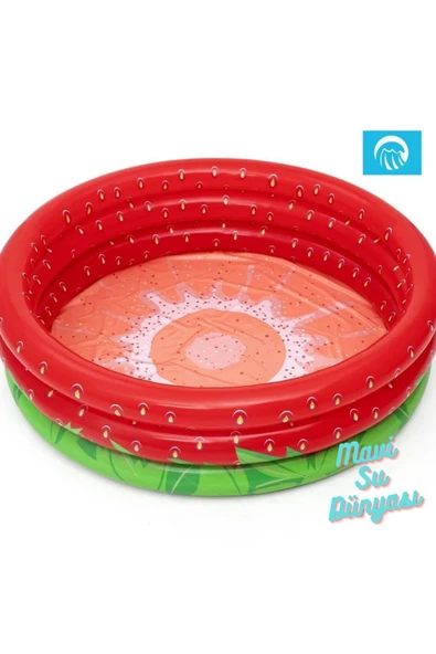 Havuz Çilek Desenli 160 Cm x 38 Cm - 2