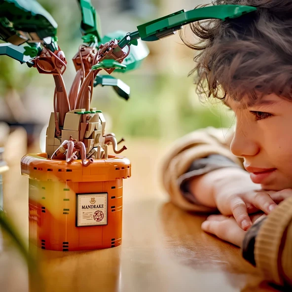 LEGO Harry Potter Adamotu 76433 - 6