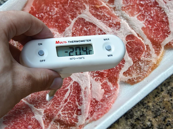 TFA Donmuş Ürün Vidalı Saplamalı Burgu Termometre - Resim 6