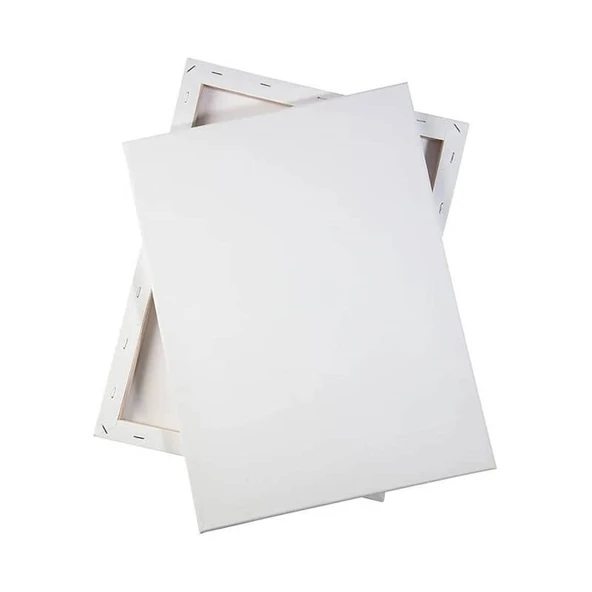 Pin Arkadan Zımbalı Tuval 18x24 cm