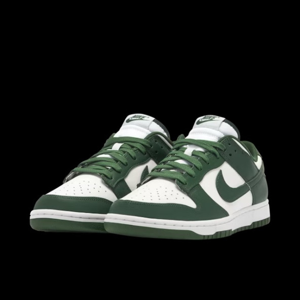 Nike Dunk low Michigan State DD1391-101 - 5