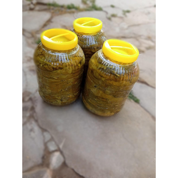 Salamura Yaprağı - 2