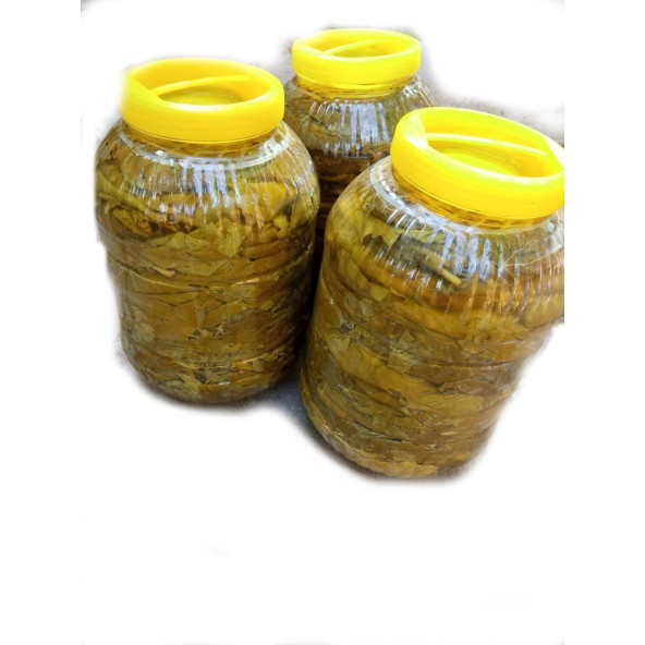 Salamura Yaprağı - 3