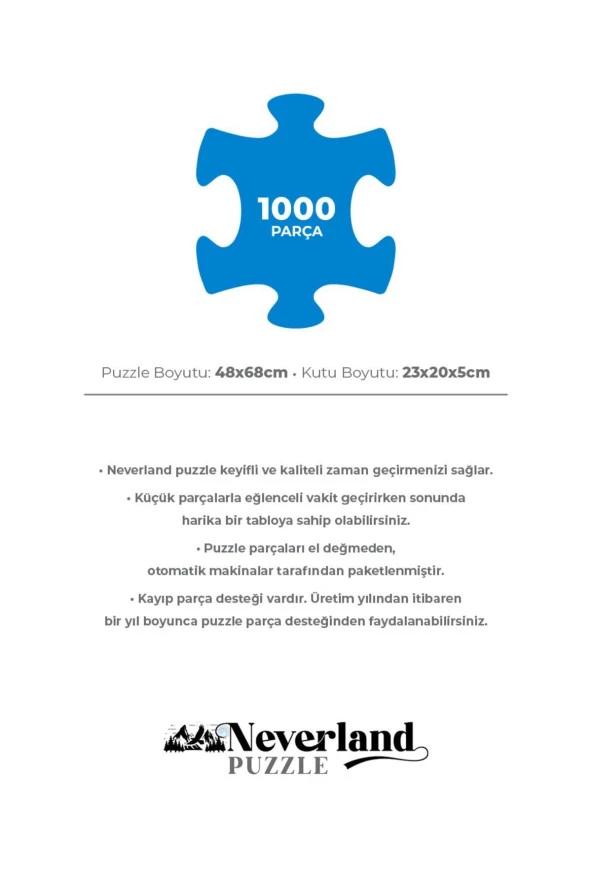 Neverland 3 ADET 1000 PARÇA PUZZLE - YILDIZLI GECE ve İSTANBUL ve ISTANBUL EVENING - NL440-358-441 - 5