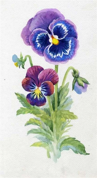 Hercai Menekşe - Kanvas Tablo ürün görseli