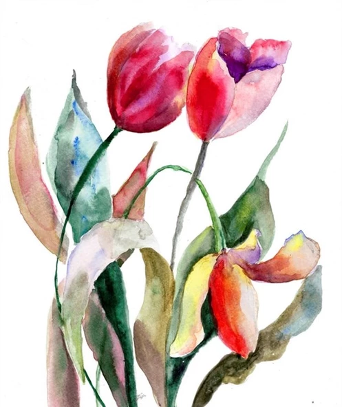 Kırmızı Lale - Kanvas Tablo ürün görseli