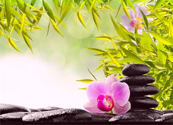 Lila Çiçek, Spa Taşı - Kanvas Tablo ürün görseli